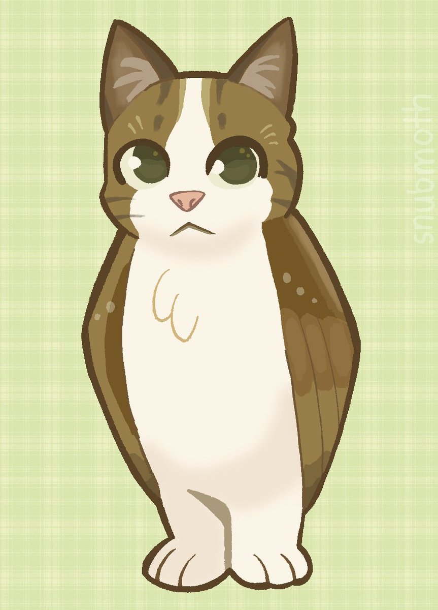 snubmoth's tweet photo. meowl. #meowl https://t.co/sS6K9E7pJB