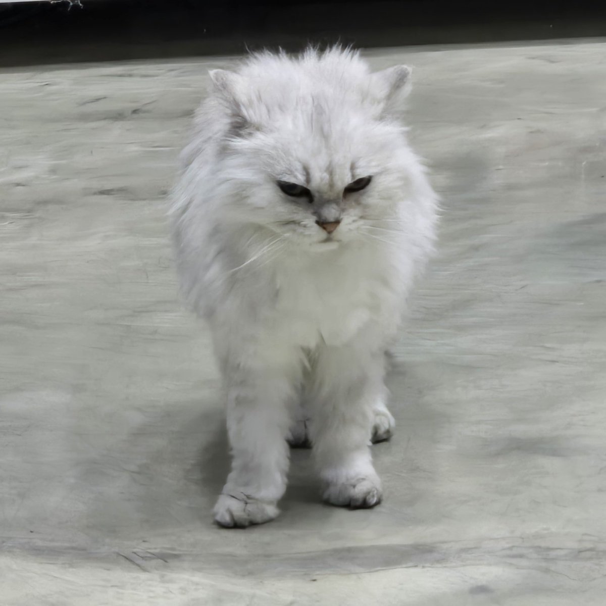 alcoholer2's tweet photo. ㅎㅇㅎㅇㅎㅇㅎㅇ https://t.co/tdIb3QwGXj