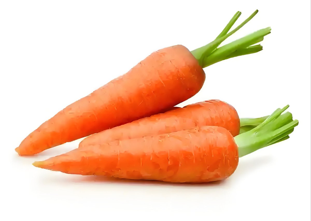 MyzterE's tweet photo. Just finished a 20-minute casual farming session in my cozy indie game. Harvested carrots, upgraded my water can, and now it’s time for bed. , https://t.co/XGDCau3HrB