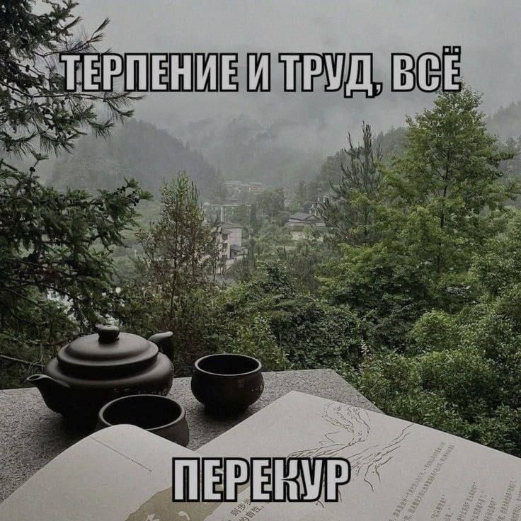 zaraapoe's tweet photo. https://t.co/nYnVV9alHe