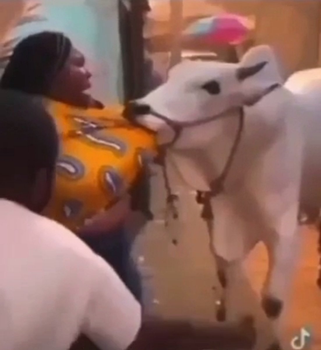 Tomzy__Tv's tweet photo. Omo so cow later first me suck breast 😭😂 https://t.co/5yYOaB8Gty