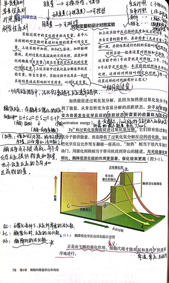 TheBeautyBox11's tweet photo. Just aced my weekly biochem quiz! Spent 2 nights grinding enzyme kinetics practice problems—small wins fuel big progress ， https://t.co/sjtvVpwvca