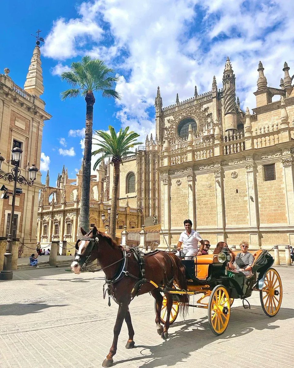 MelaniePaugnxt's tweet photo. Caminando por las calles de Sevilla, el aroma de churros con chocolate llena el aire y las flores de naranjo decoran cada esquina. Un día mágico que nunca olvidaré! https://t.co/8QoVnpXsEb