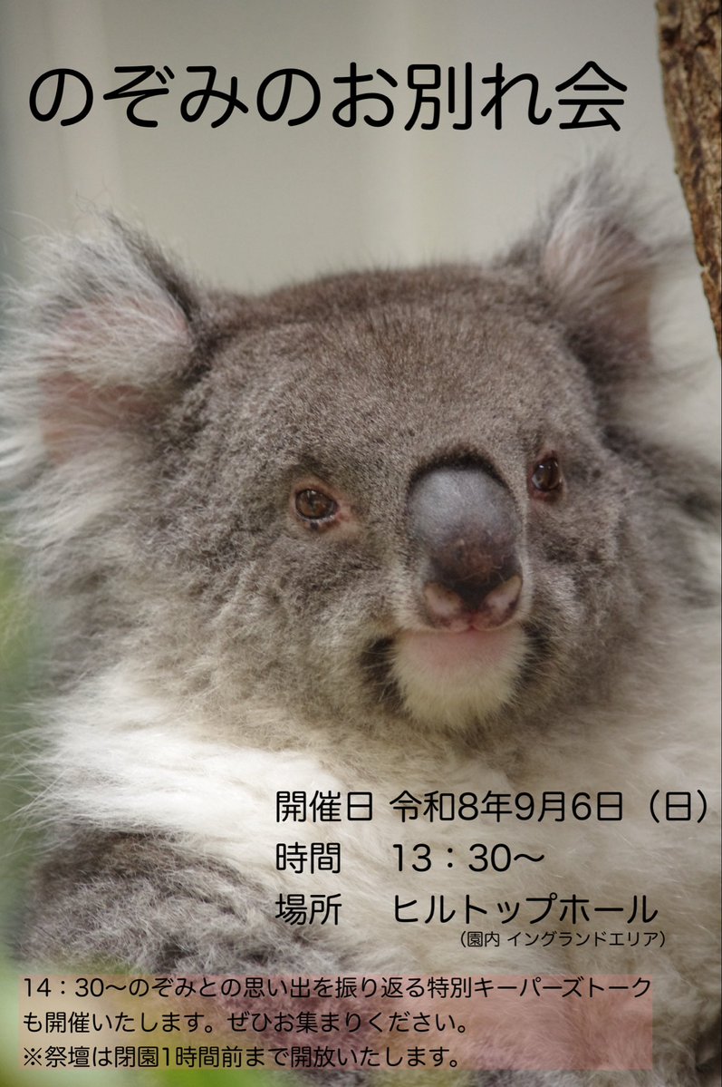 englandhill_zoo's tweet photo. 【のぞみのお別れセレモニー】開催のおしらせ

下記日程にて、のぞみのお別れ会を開催いたします。
セレモニー終了後には飼育員がのぞみとの思い出をお話しする特別なキーパーズトークも開催いたします。
皆様とものぞみとの思い出を共有できればと思っておりますのでぜひご参加頂ければ幸いです。 https://t.co/Y1CkNEaAb0