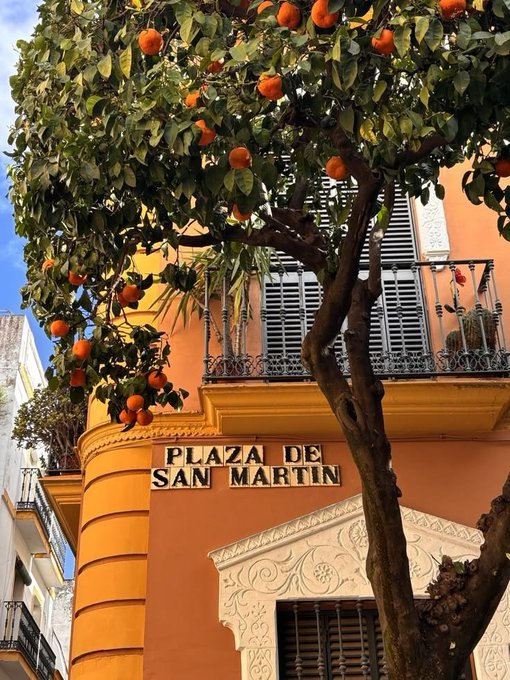 mmm1205ttt's tweet photo. Seville, Spain https://t.co/tmOJ0ofSq9