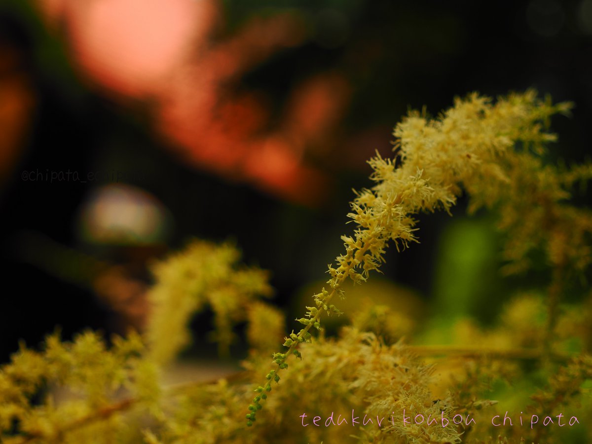 echipata's tweet photo. 渋い（？）写真も撮ってみたりする😁📸

今 #ミラーレスカメラ修行中 

Camera：OLYMPUS OM-3
Lens ：M.ZUIKO DIGITAL ED 12-45mm F4.0 PRO

#olympusom3 #om写真投稿 https://t.co/iODSpFhwNc