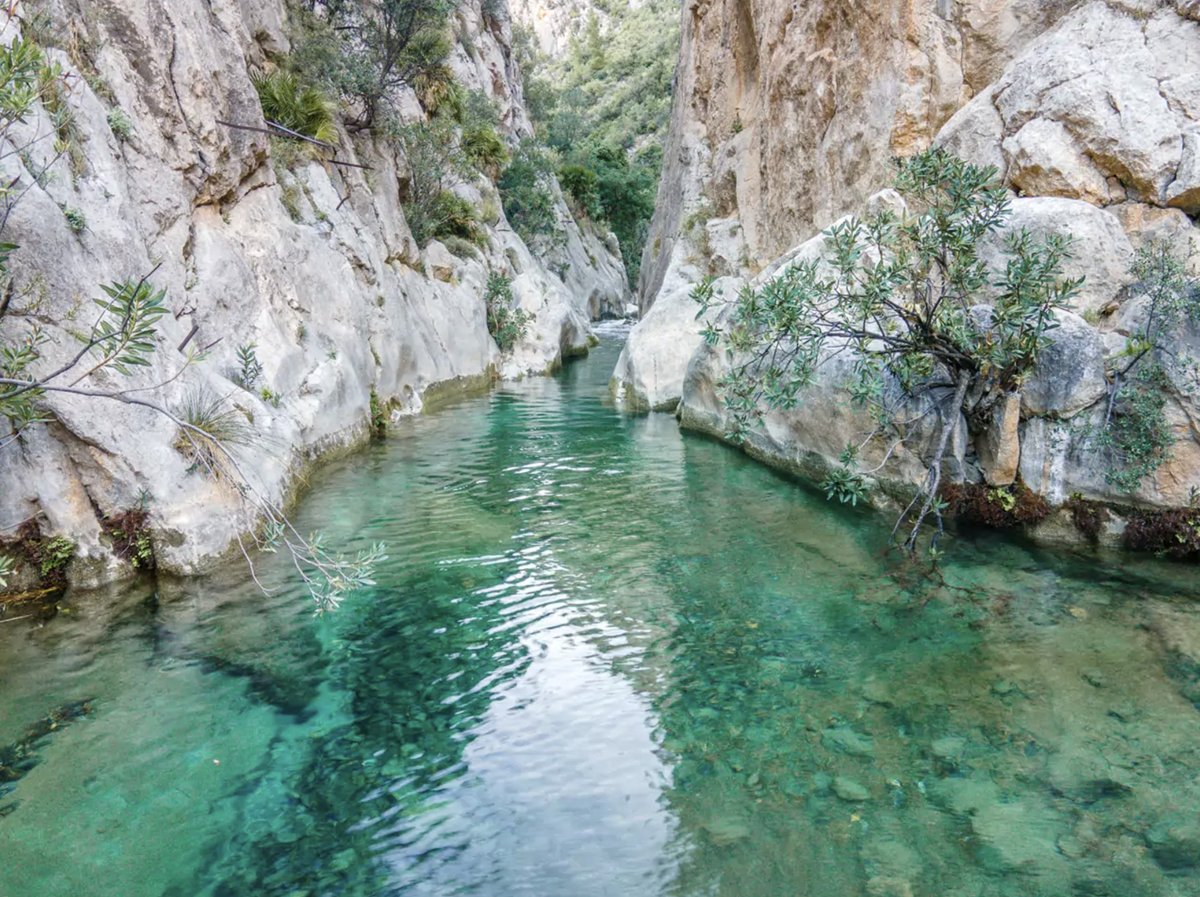 CSIFCV's tweet photo. 🏖️ ¿Buscas una alternativa a la playa este verano?

🌿 Cascadas, pozas de agua cristalina y piscinas naturales escondidas en el interior de la Comunitat Valenciana. Descubre algunos de los rincones más espectaculares para disfrutar de un baño en plena naturaleza.

👇 ¿Has visitado alguno?

Noticia completa en @NatGeoEsp 👉
https://t.co/3rid08S5Dz