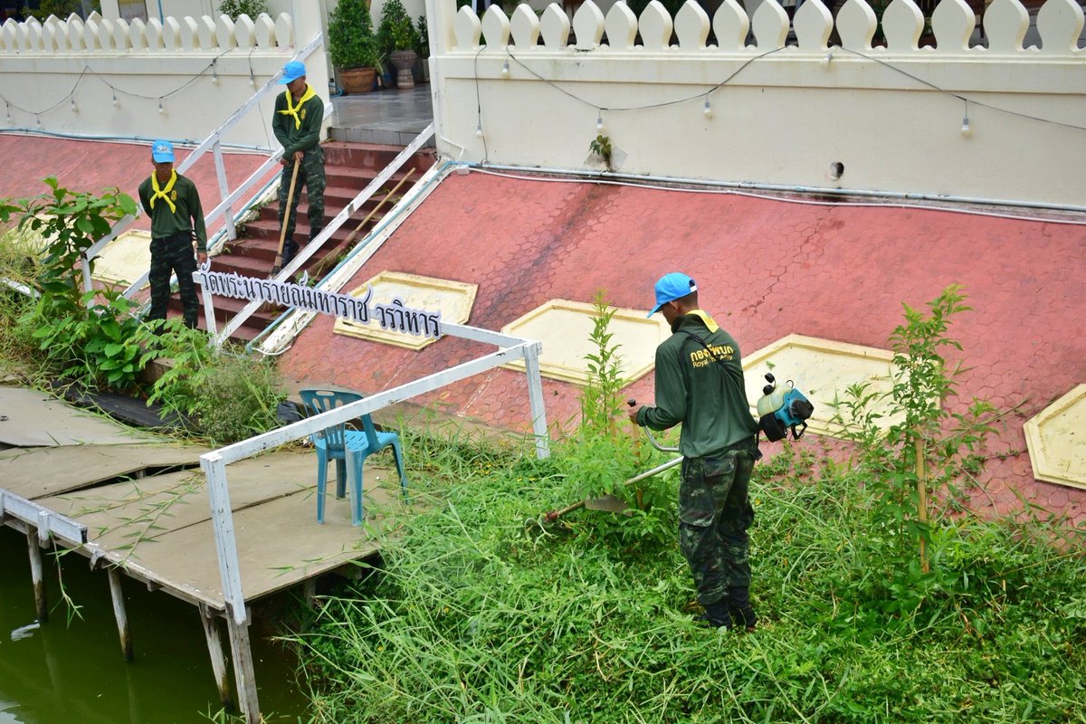 3_rdsignal's tweet photo. กองพันทหารสื่อสารที่ 3 กองพลทหารราบที่ 3 จัดกำลังพลจิตอาสาเข้าร่วมกิจกรรมจิตอาสาพัฒนา และบำเพ็ญสาธารณประโยชน์ เพื่อทำความสะอาดบริเวณรอบอุโบสถ ปรับทัศนียภาพภูมิทัศน์โดยรอบ ณ วัดพระนารายณ์มหาราช วรวิหาร ต.ในเมือง อ.เมือง จ.นครราชสีมา
#กองพันทหารสื่อสารที่3
#กองพลทหารราบที่3 https://t.co/oRT4Lg9T7D