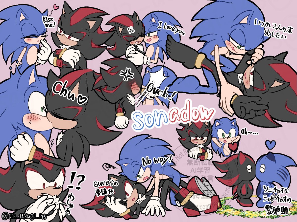 012_usagi_145's tweet photo. めっちゃ久々にソニシャ描いた🔵⚫️

#sonadow https://t.co/svshEHYDdj