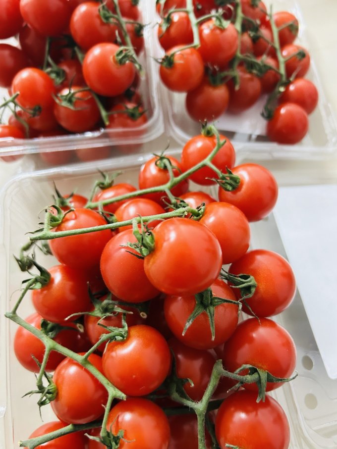 AmyHewittkk's tweet photo. Tomates cherry locales, jugosos y dulces, perfectos para ensaladas. Calidad fresca desde el mercado hasta tu plato!， https://t.co/UTN5gqDOi6