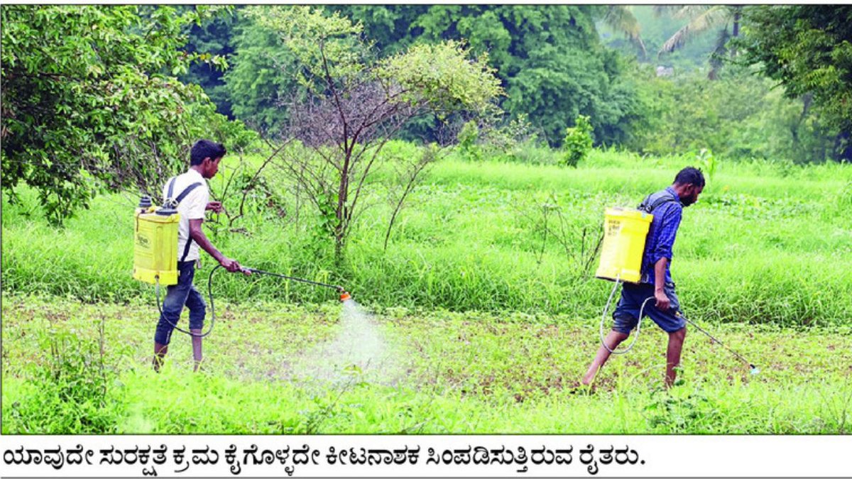 AsianetNewsSN's tweet photo. ರೈತರು ಬಳಸುವ ರಸಗೊಬ್ಬರ, ಕ್ರಿಮಿನಾಶಕದಿಂದ ಕಿಡ್ನಿ, ಹೃದಯಕ್ಕೆ ಕಂಟಕ: ಕೆಎಂಸಿಆರ್ಐ ಅಧ್ಯಯನದಲ್ಲಿ ಆಘಾತಕಾರಿ ಅಂಶ ಬಯಲು!
Read More: https://t.co/dmOObkE2Ln
#FarmersHealth #PesticideHazards #KMCRI #Hubballi #KidneyFailure