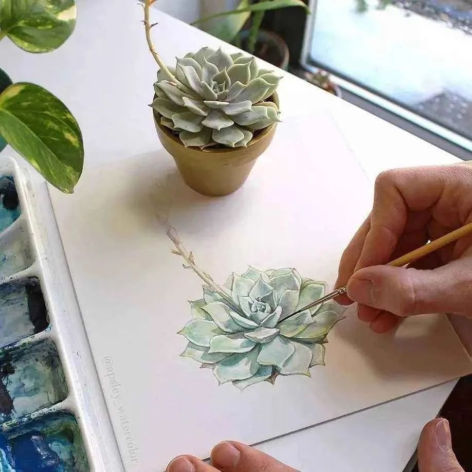 thebest_fish's tweet photo. 5 mins daily hobby: sketch simple plants! No experience needed—just paper u0026 a pen. Start small, grow your fun. https://t.co/ynrxWvw91Y