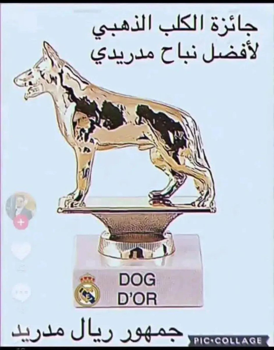 barokey206's tweet photo. @elhadi_ilham @omar_alshbrm وربي العباد تستاهل تكون حمدوني بهذه العقلية https://t.co/4vZ17YXTqZ