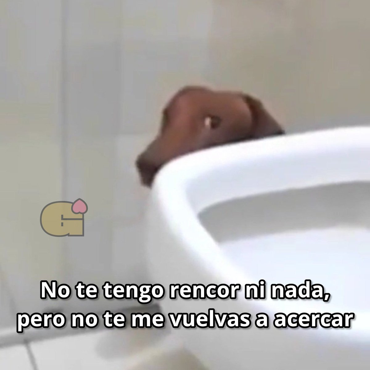Guarromantico_'s tweet photo. Mejor de lejitos. https://t.co/fzFqbHQJNy