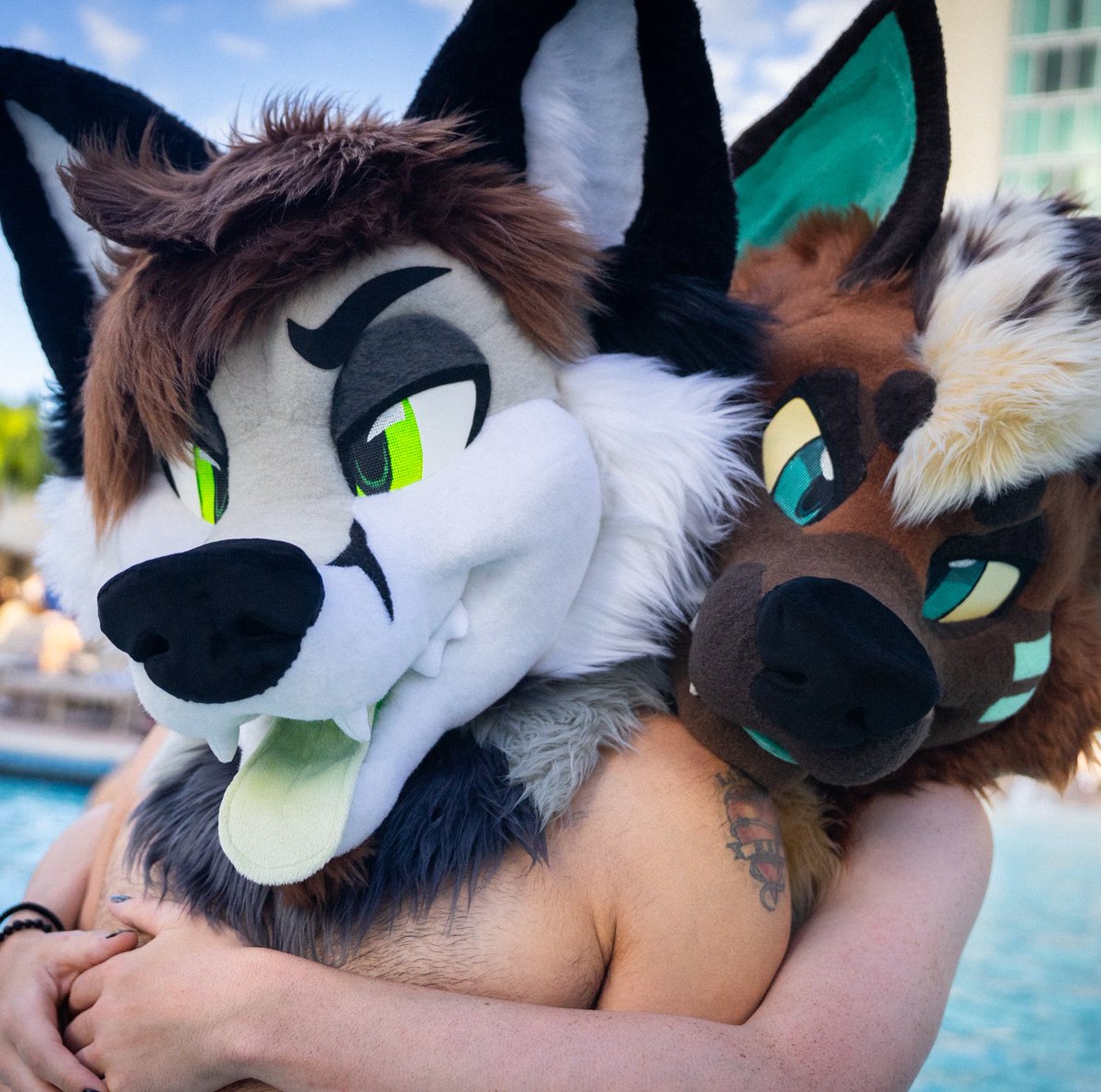 arihyena's tweet photo. HAPPY BDAY TO MY FOPS 🦊 https://t.co/ICsq0iWLPL
