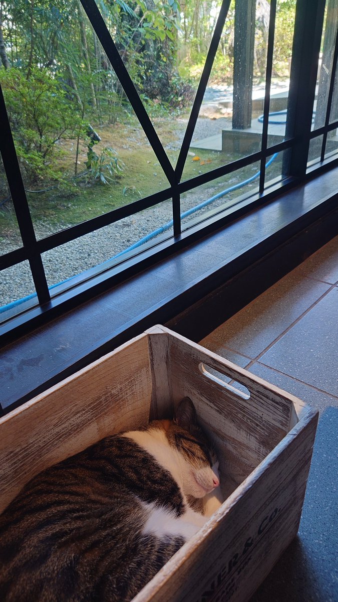 youpao's tweet photo. 漱石ゆかりのカフェにて😊 https://t.co/BmE0cM2mFf