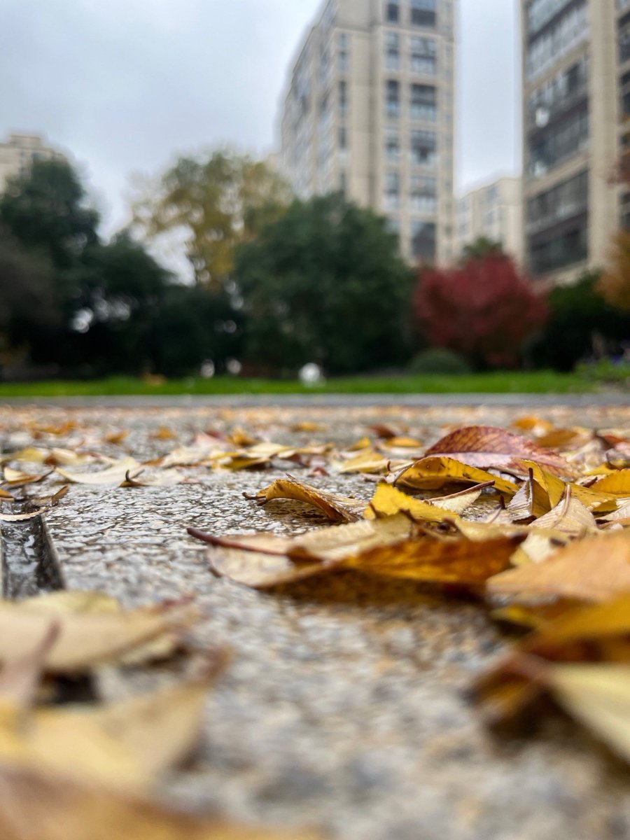 k1046922's tweet photo. 下班路上吹到晚风，路边卖的烤红薯甜得刚刚好，今天的疲惫都碎在风里啦 https://t.co/P2km5LLwVW