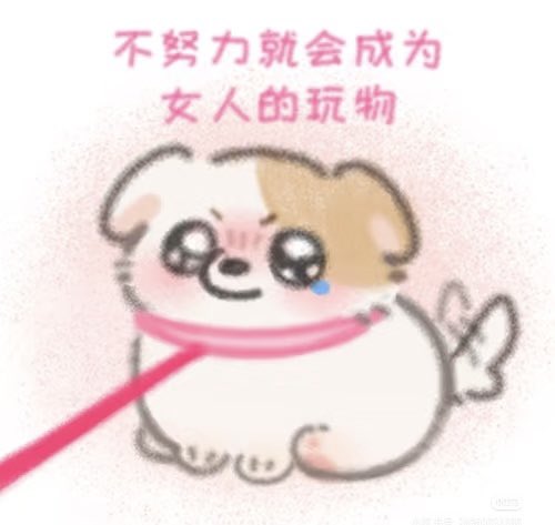 lxush643929's tweet photo. 好可爱☺️ https://t.co/uyoRpqfzfc