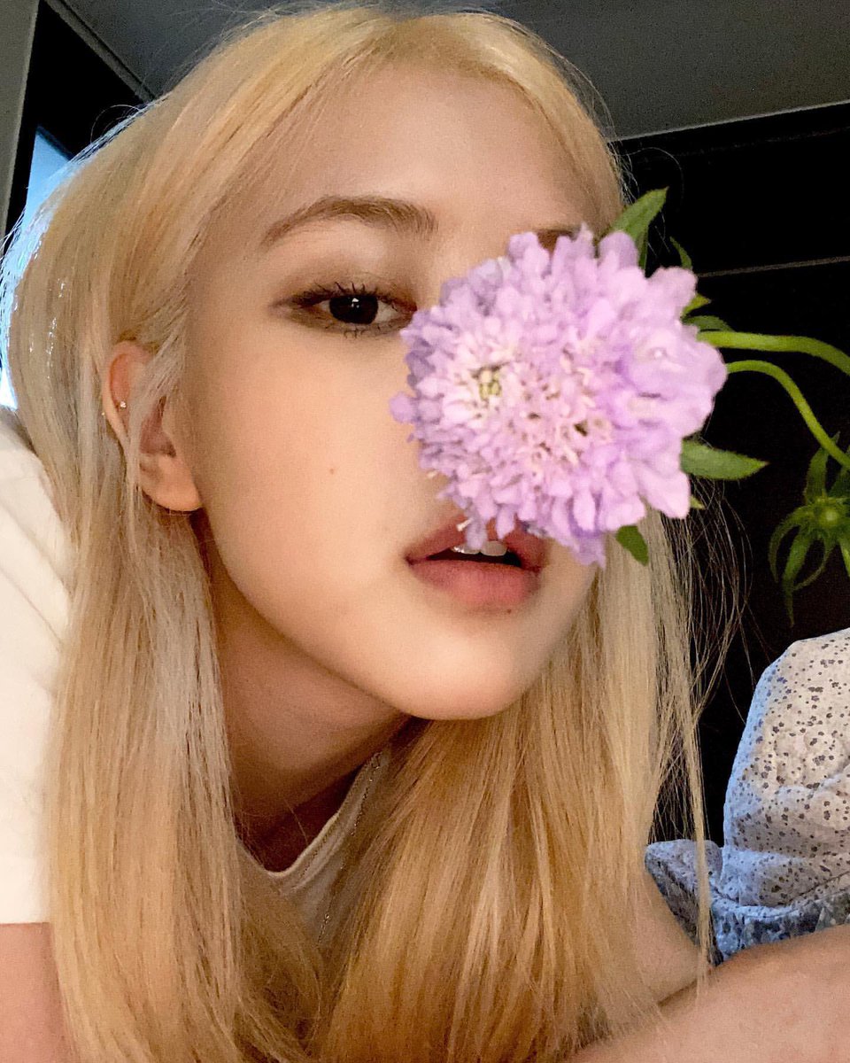beingJasminn's tweet photo. #ROSÉ https://t.co/QnAfJC5IRS