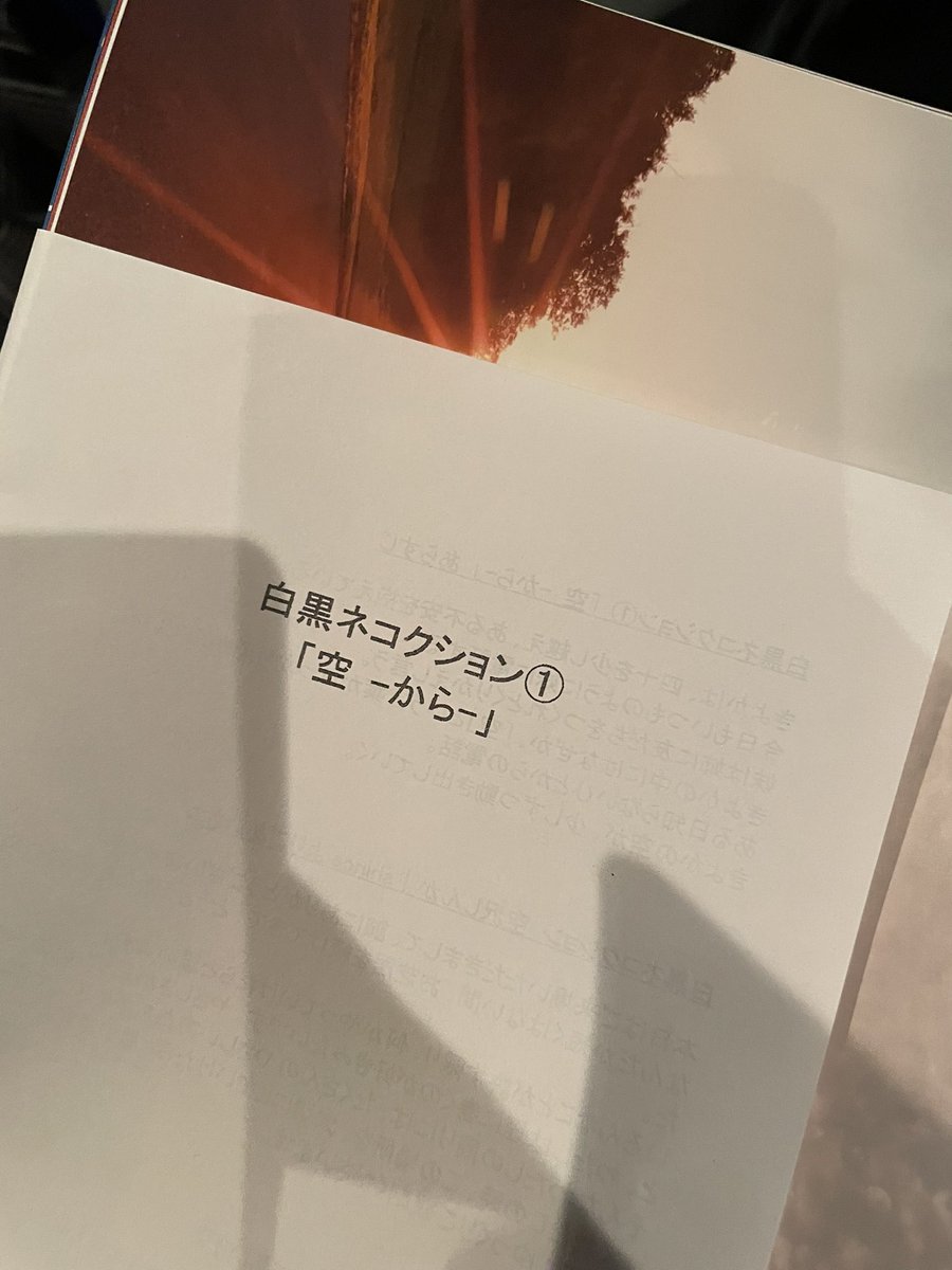 mmm_thea's tweet photo. お邪魔します https://t.co/mjBH7HH1PY