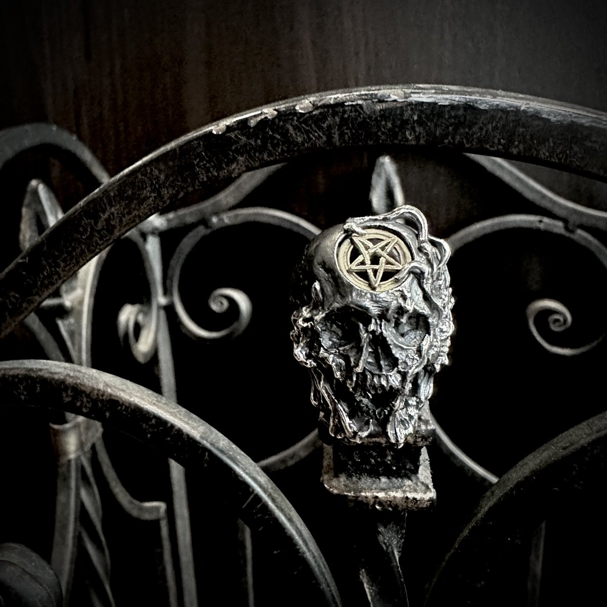 SILVERSHIELD925's tweet photo. -悪炎-

Nil:GRAVE
[Linaria]

全体を暗く、
かつ炎を鏡面で仕上げられたコントラストで魅せる炎を纏った悪魔のリング！

https://t.co/sUNZl8EEJd https://t.co/cZMQ5bj2og