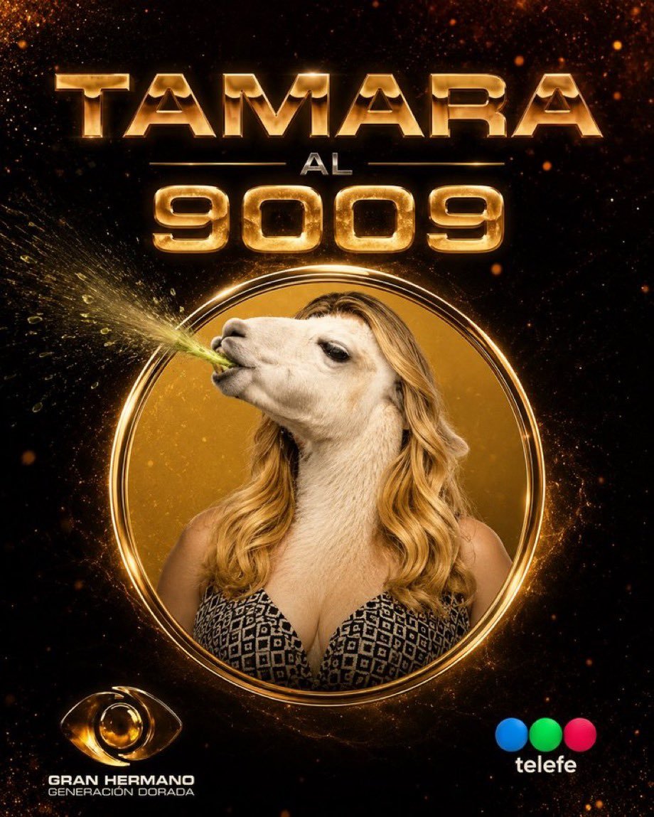 VeronicaGuerin3's tweet photo. @Eraltsep @Campanita_Fans Ustedes ven el programa? Todo el mundo le dijo a Yipio que recibió info de afuera, Zilli, Brian, Mariela explico que Tamara la empujó pero ustedes viven en un mundo paralelo
TAMARA AL 9009 https://t.co/TBtPSIF07y