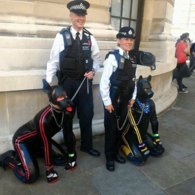 Terfs_R's tweet photo. THE WOKE MIND VIRUS 
🚨🚨🚨

Fetishist frauds in dresses are running our universities, the police, our governments, NGOs and major corporations - punishing everyone who tells the truth. 

Prove me wrong. https://t.co/9KLhbPY9SM