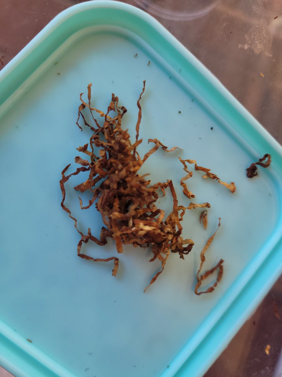 plarpstorm's tweet photo. my cheap imported tobacco looks like streamers. last pack evar! https://t.co/nllZ9x5OS1