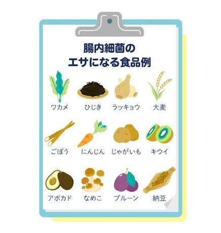 hl_clover01's tweet photo. 便秘解消3ステップ その3-2
発酵食品
乳酸菌、酵母菌、納豆菌が腸内細菌のエサになる
腸内環境を良くして、便の状態を良くする
〈種類〉
味噌、納豆、漬物、キムチ
ヨーグルト、チーズ→△
納豆、漬物、キムチ→◎
1〜2週間しっかり毎日摂ると効果を感じれる
#健康
#便秘
#腸内環境
#就労支援 https://t.co/rlXMWnIZ8Q