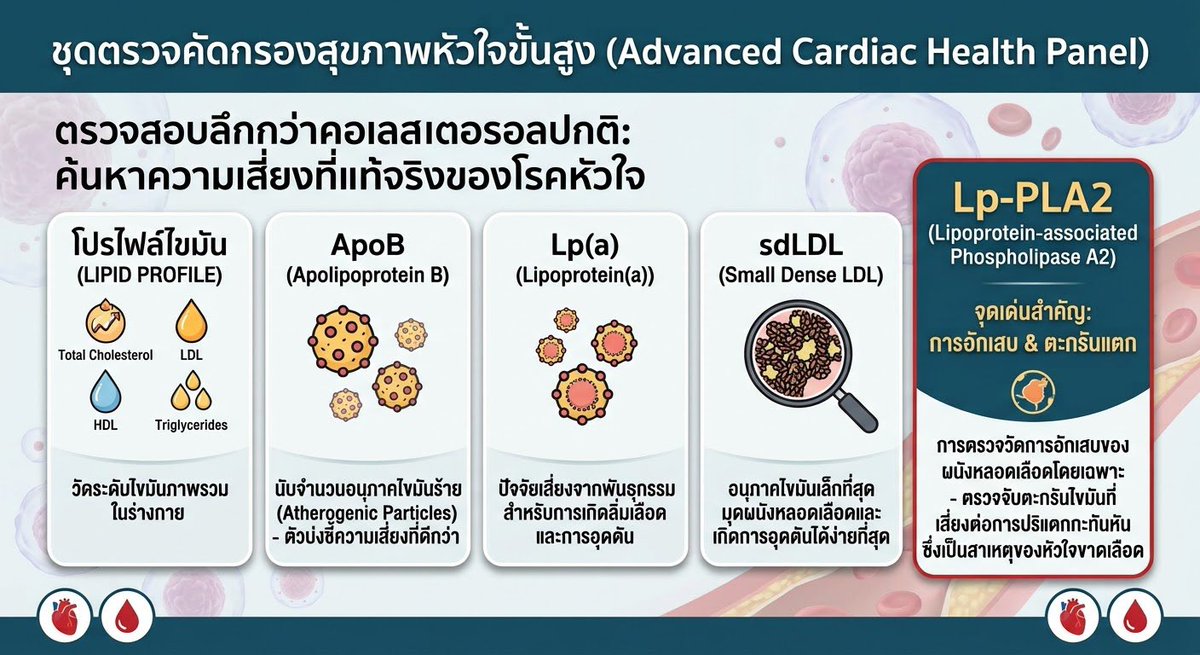 dear_common's tweet photo. @Dr_coachbear ตอนนี้ N Health ตรวจ LP-PLA2 ได้แล้ว��ะคะ ดูการอักเสบคล้ายๆกับ hs-CRP เลยค่ะแต่ specific ต่อหลอดเลือดมากกว่า การอักเสบจากการติดเชื้อ/ systemic inflammatory ไม่ทำให้ค่าสูงเหมือน hs-CRP https://t.co/spy4HrIGCD