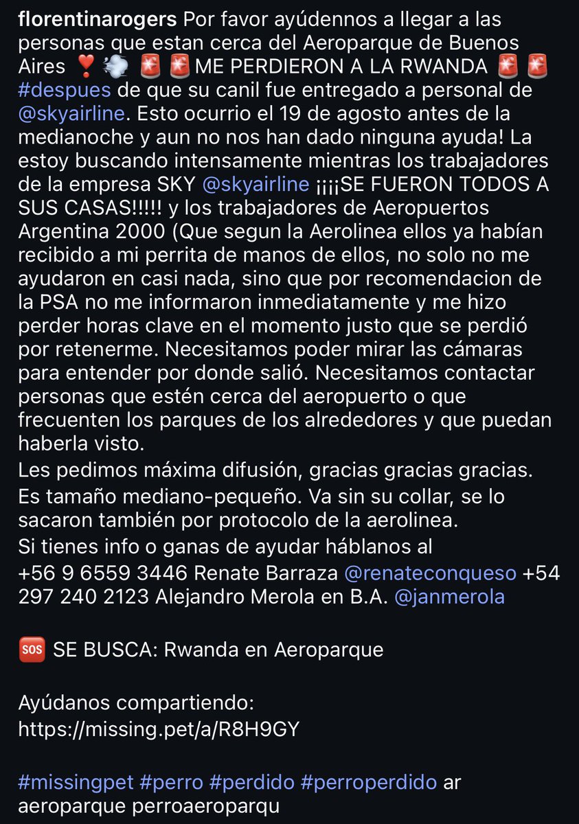vulgarcite's tweet photo. Entregó a su perra Rwanda en un canil en aeroparque para regresar a Chile y se la perdieron. Se fue corriendo por la zona de las obras en la calle La Pampa, en dirección norte. https://t.co/mweYisV2eq