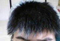 irohani_hoh's tweet photo. @puupy777 @Asura11921181 @tsuisoku777 https://t.co/opT11gqVDd