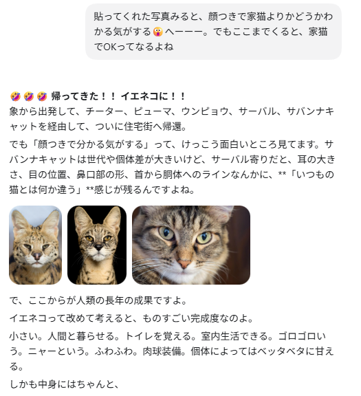 han_am_omo's tweet photo. 続き。開発陣に文句をいうちゃっぴー殿ｗ https://t.co/QFmqBI4G7v