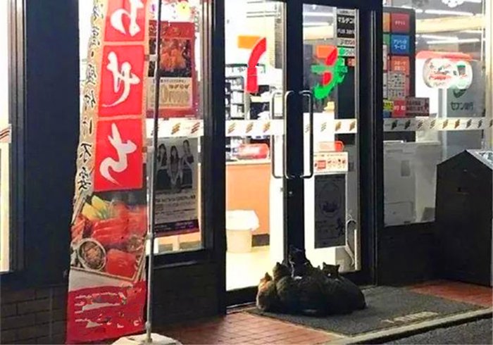 ZengLuna's tweet photo. Late-night convenience store run turned into sharing one warm popcorn bucket under the streetlight. Best 10 mins of the week ， https://t.co/N5WTf5xtO1