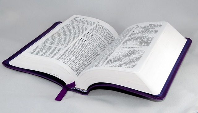 UnPsaumeParJour's tweet photo. ⚪  Vêtements blancs  ⚪
📗 Temps ordinaire
Mémoire: Saint Pie X

#PrionsEnsemble
Ps 77,6
J'ai pensé aux jours d'autrefois, d'années séculaires. https://t.co/qTomgqrKy8