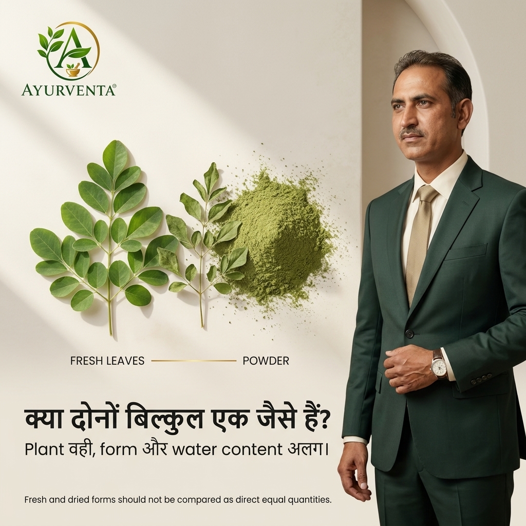 Ayurventa's tweet photo. 🌿 Fresh Moringa vs Powder
Same plant, different concentration.
Fresh has more water; powder is more nutrient-dense by weight.
Know the form. Choose wisely.
#AyurVenta #RajeevSaini #AyurventaMoringa #Moringa #MoringaPowder #PlantBasedNutrition #NutritionFacts https://t.co/RND0cim1eg