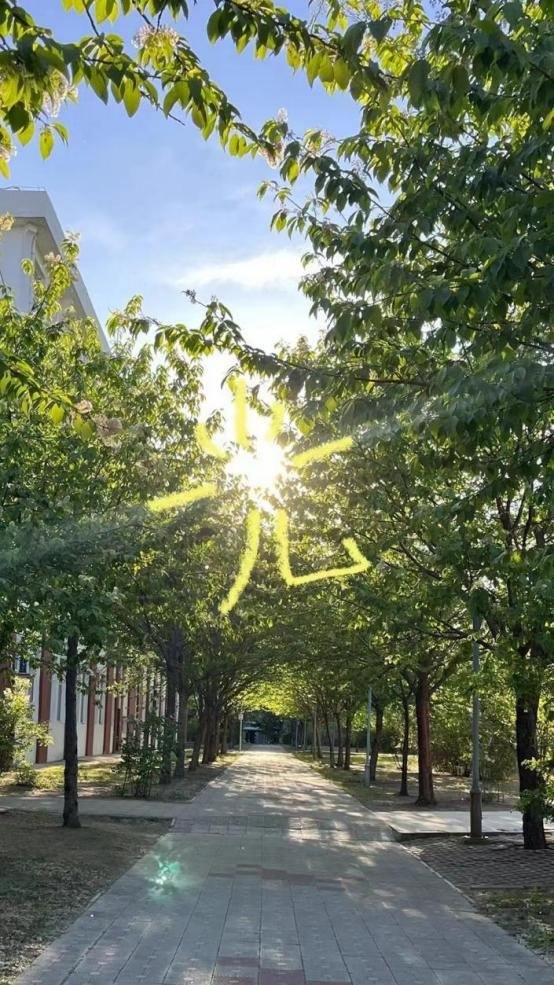 PekarHolly's tweet photo. New term, new spark!  Ready to chase small goals, catch up with old friends and welcome new fun on campus. Let’s make this semester unforgettable!， https://t.co/ZXMHGqlgtA