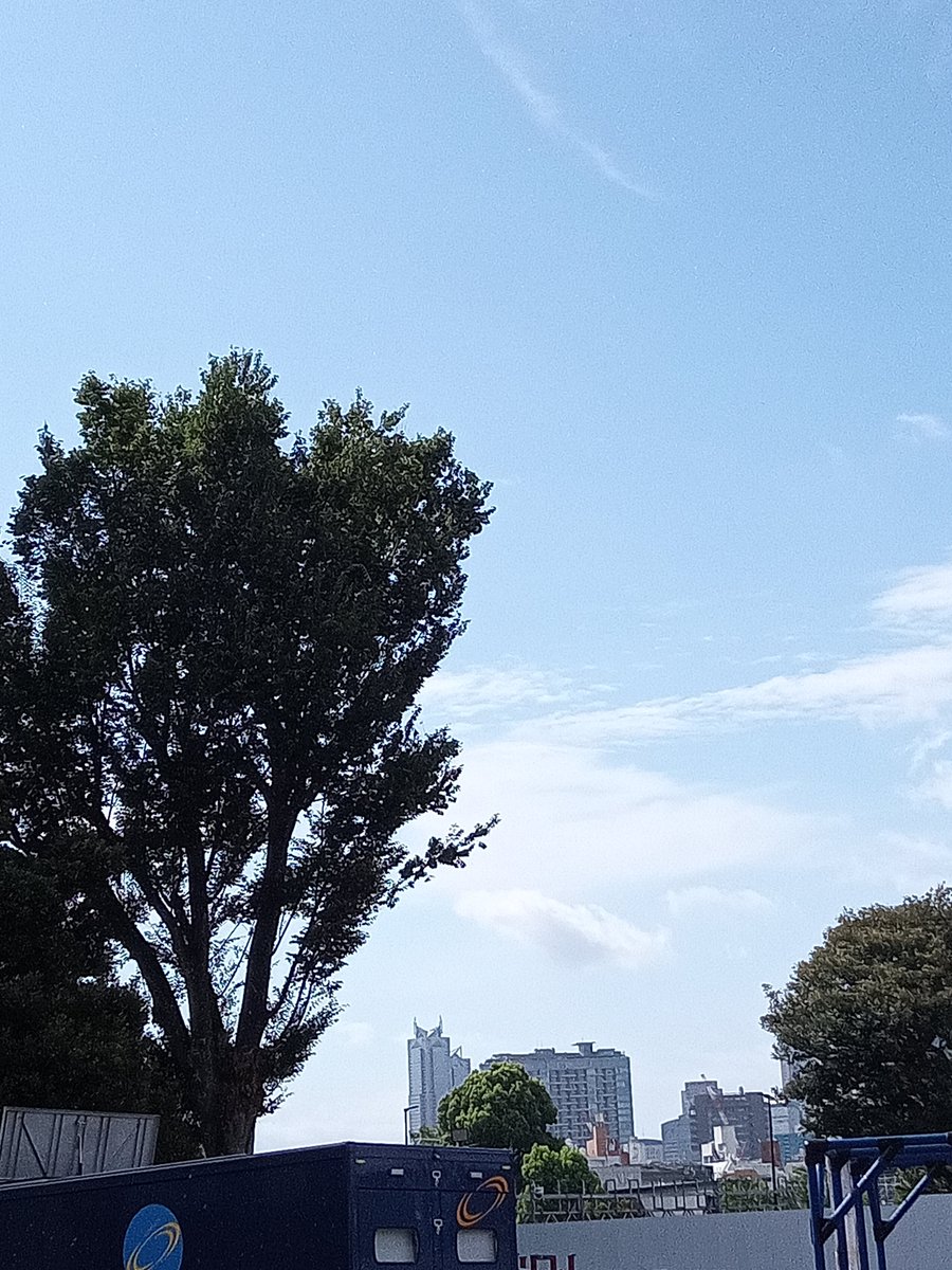 schurzen46's tweet photo. 着弾した！
神宮よ私は帰ってきた🏃
しかし、何だこの天気は？
雨である☔ https://t.co/tAThTCyLxf