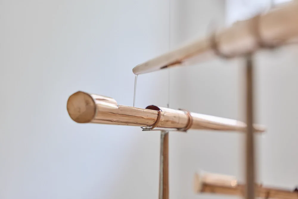トーキョーアーツアンドスペース Tokyo Arts and Space（TOKAS） on X