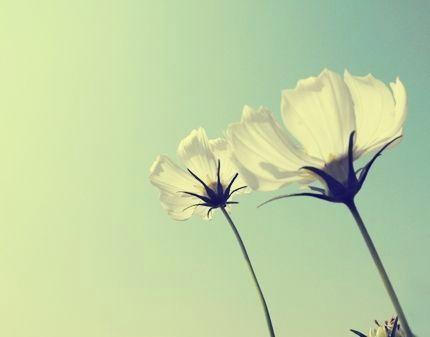 SetllaE90065's tweet photo. 🌸 💦 🍄 🌺 💰 🚩 I’m craving pizza and a sunset vibe https://t.co/z34JK2WoGs