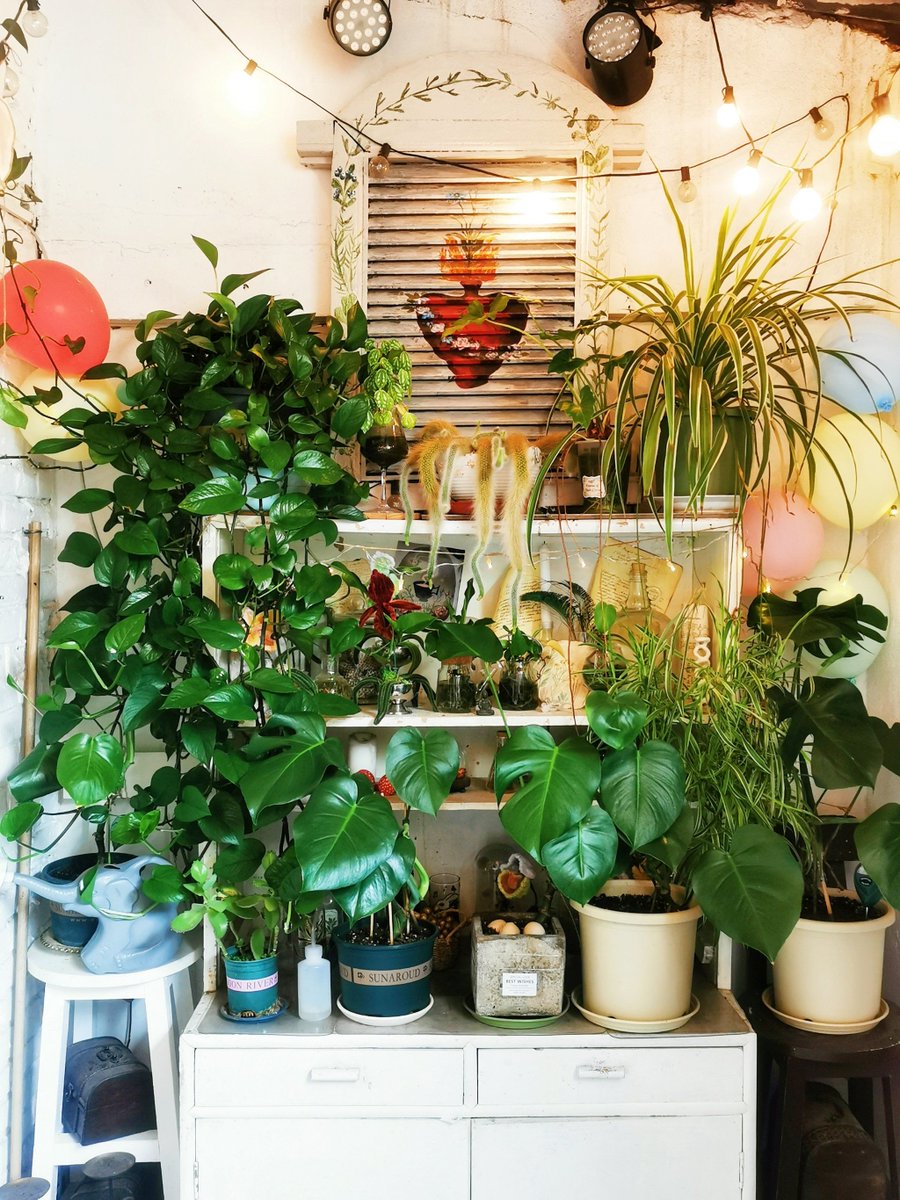 MikiGalimi's tweet photo. Just turned old mason jars into cute succulent planters with only a hot glue gun u0026 sand! Cheap, quick, and full of plant vibes , perfect for sprucing up my desk. https://t.co/70qEaxbzZo