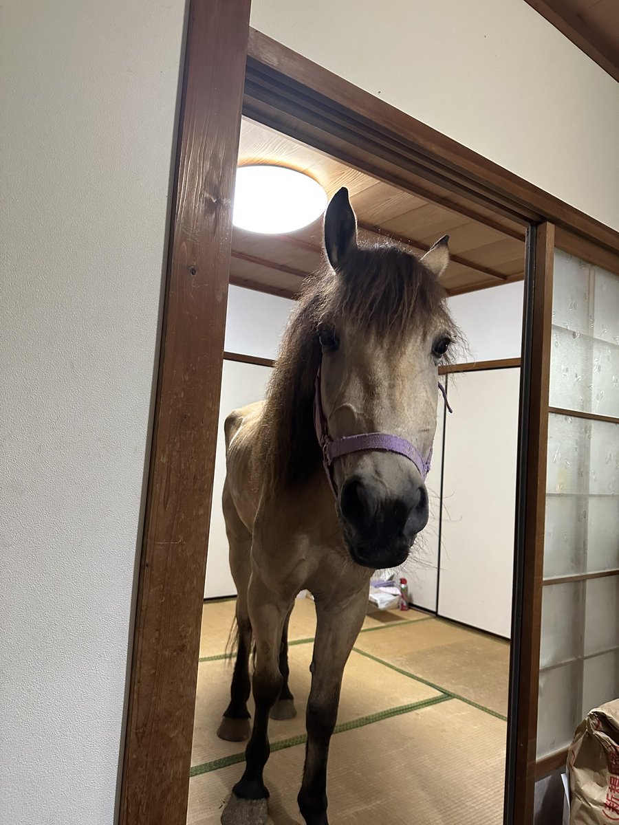 yoshikawa8izume's tweet photo. あついから💦 https://t.co/TVoly60jpj