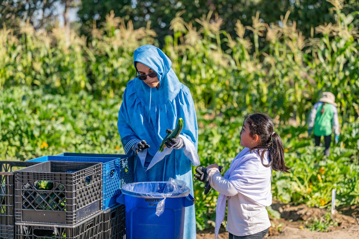 Dawoodi_Bohras's tweet photo. A meaningful partnership in action. 🤝 
Members of the #DawoodiBohra community joined @SHFBOC  at Harvest Solutions, gathering 3,500 pounds of fresh produce for local families, seniors and working individuals.

“Partnerships like this are essential to advancing our mission,” said Claudia Bonilla Keller, CEO of Second Harvest Food Bank of Orange County. “We are grateful to the Dawoodi Bohra community and Project Rise for their generosity and willingness to serve alongside us.”
#foodinsecurity 
@Bohras_USA @ProjectRiseDB