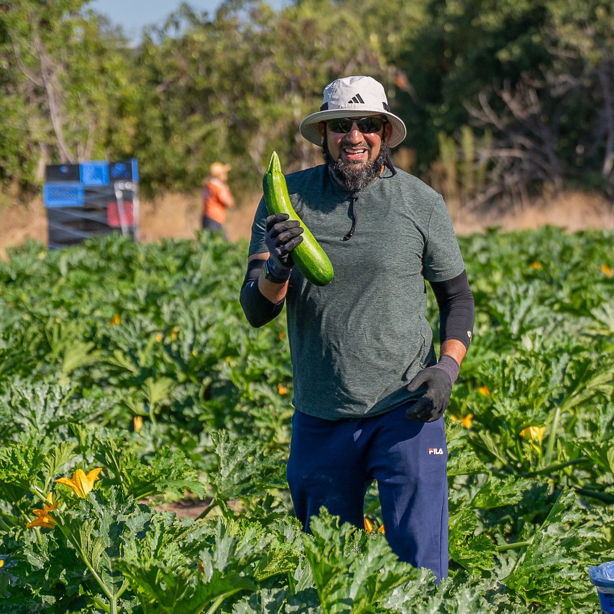 Dawoodi_Bohras's tweet photo. A meaningful partnership in action. 🤝 
Members of the #DawoodiBohra community joined @SHFBOC  at Harvest Solutions, gathering 3,500 pounds of fresh produce for local families, seniors and working individuals.

“Partnerships like this are essential to advancing our mission,” said Claudia Bonilla Keller, CEO of Second Harvest Food Bank of Orange County. “We are grateful to the Dawoodi Bohra community and Project Rise for their generosity and willingness to serve alongside us.”
#foodinsecurity 
@Bohras_USA @ProjectRiseDB