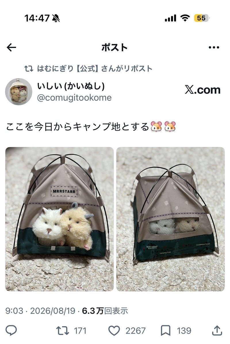 comugitookome's tweet photo. まさかの…
はむにぎり公式様からのリポスト…！！
嬉しすぎます🐹🐹✨ https://t.co/Y8ejyPDXmW