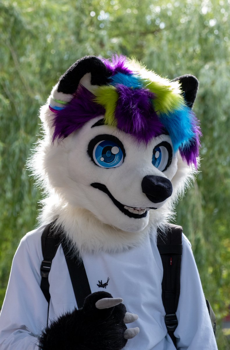Emka25O's tweet photo. Good morning! :3 
#furry #fursuiting #fursuit https://t.co/w4WJZpbd1M