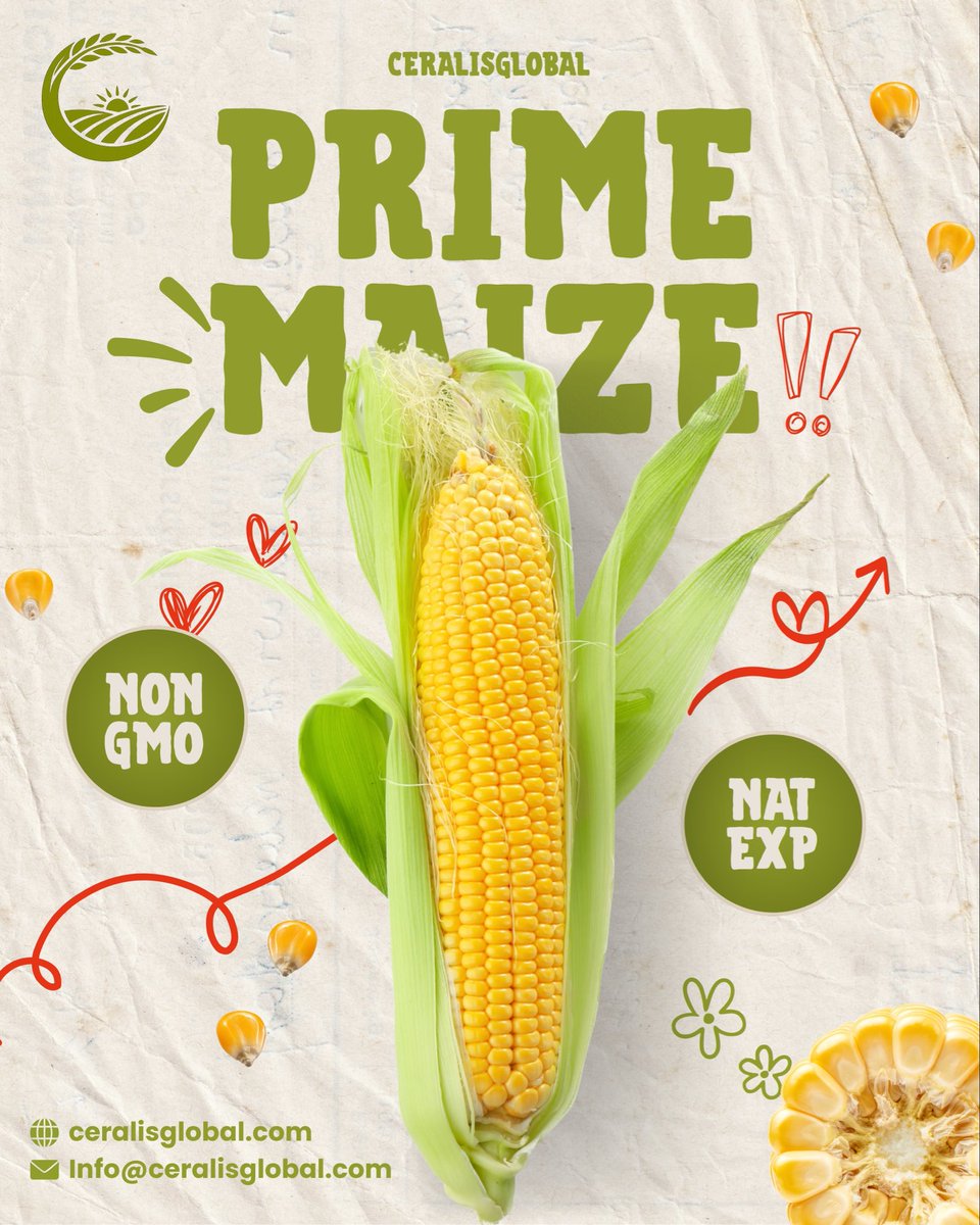 CERALISGLOBAL's tweet photo. 🌽📦Premium Prime Maize | Ready for Global Bulk Export

Direct inquiries &amp; commercial quotes:
📩 DM us with Quantity + Port of Discharge
📧 Info@ceralisglobal.com
🌐 https://t.co/HfSsiiG3W8
📞 +91 9016627160

#ceralisglobal #AgroExports #CommodityTrading #MaizeExport #CornExport https://t.co/ytYn4mI0Ph
