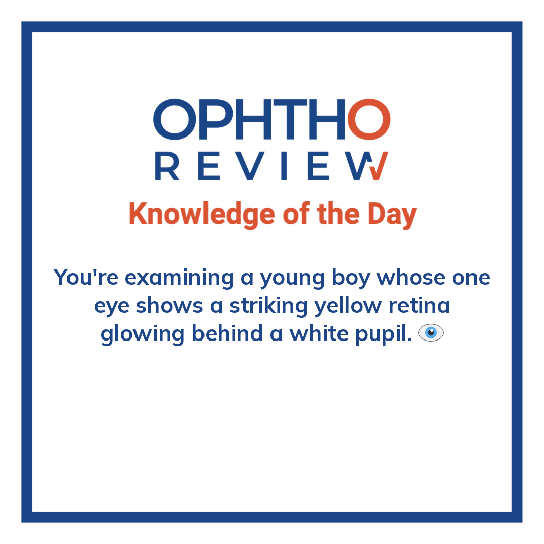 ophthoreview's tweet photo. Striking yellow retina

#ophthoreview #ophthalmology #ophtho #ophthalmologyresidency #ophthalmologist #surgicaleducation #medicaleducation #meded #surgery #medicalstudent #medicine #medicalschool #resident #residency https://t.co/gHlaPhyQKs