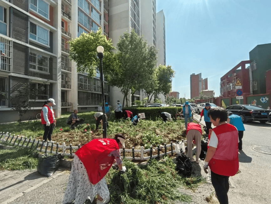 JoshMat15824768's tweet photo. [Join our community garden clean-up this Saturday 9 AM at Central Park! Bring gloves u0026 a reusable bag—together we’ll spruce up our shared green space. Snacks provided!]， https://t.co/ENWxK8vWI5