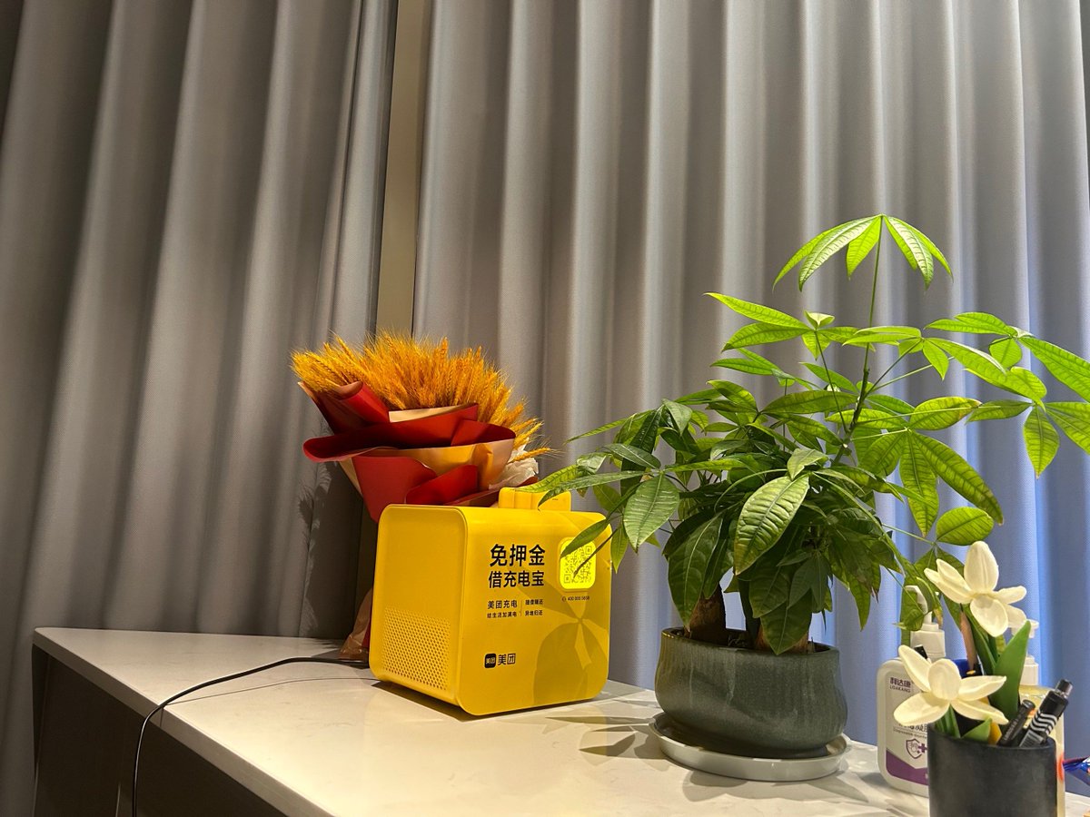 traybuster34's tweet photo. [Last week I quit my 9-to-5 office job to start my small potted plant business—today my first order shipped! Small steps make big changes happen ]， https://t.co/qjgidz5CqG
